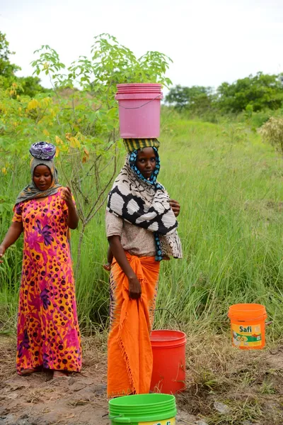 DSC_9601 (Large).JPG